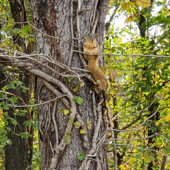 Meet your Posher, Christopher - Picture 1 of 1